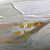 schilderij detail tulp